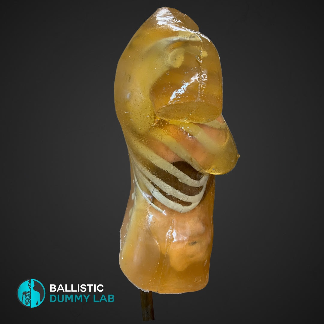 Ballistic Dummy Gel Female Torso Headless – Ballistic Dummy Lab