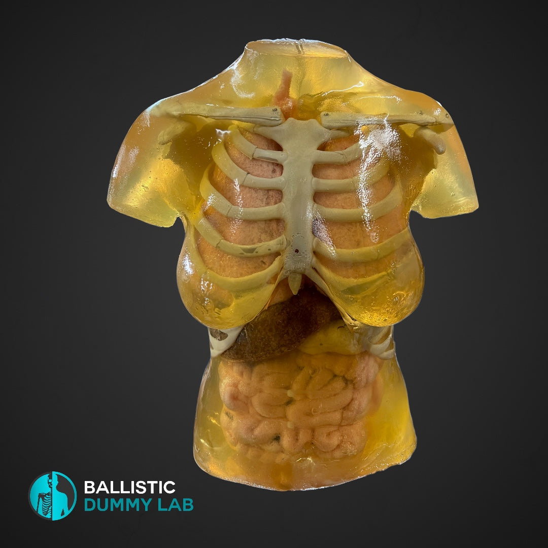 Ballistic Dummy Gel Female Body – Ballistic Dummy Lab