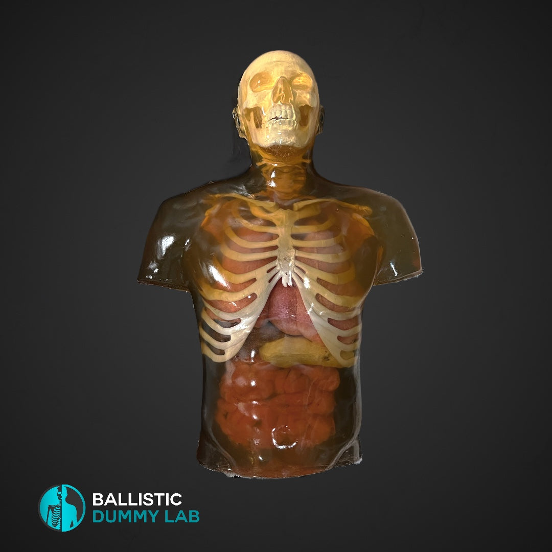 Ballistic Dummy Gel Torso with Head