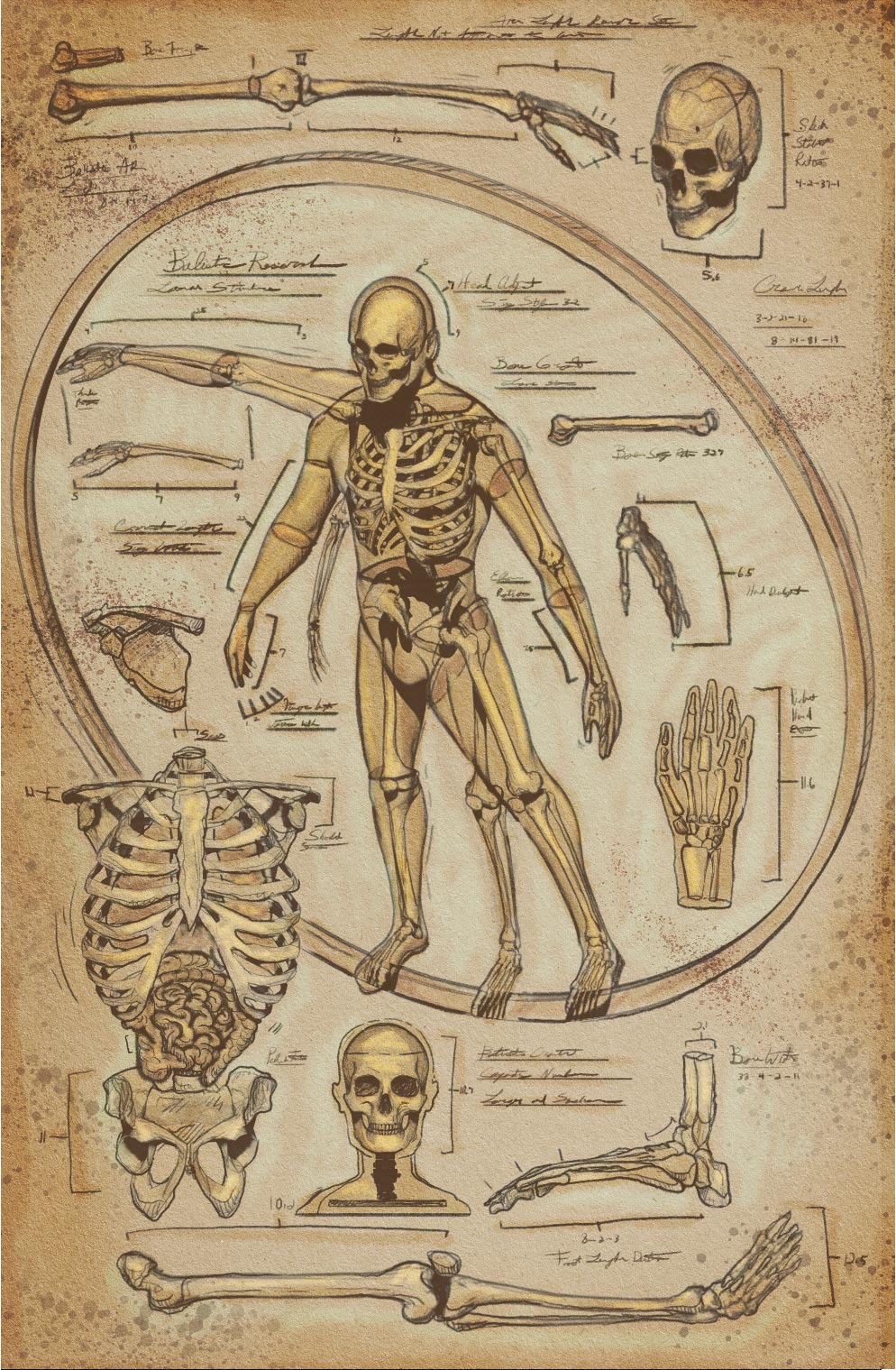 Scientific Process