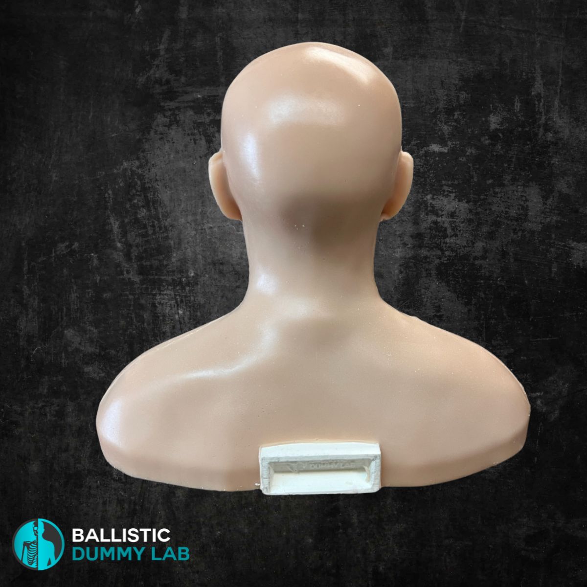 Deluxe Ballistic Dummy Gel Bust – top view