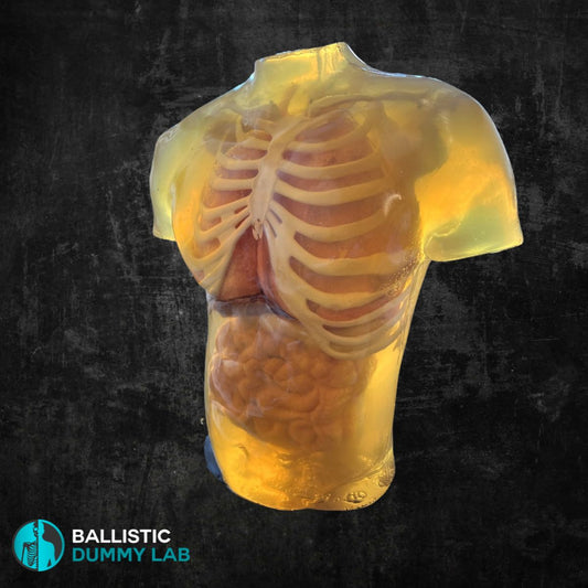 Ballistic Dummy Gel Torso Headless – side view