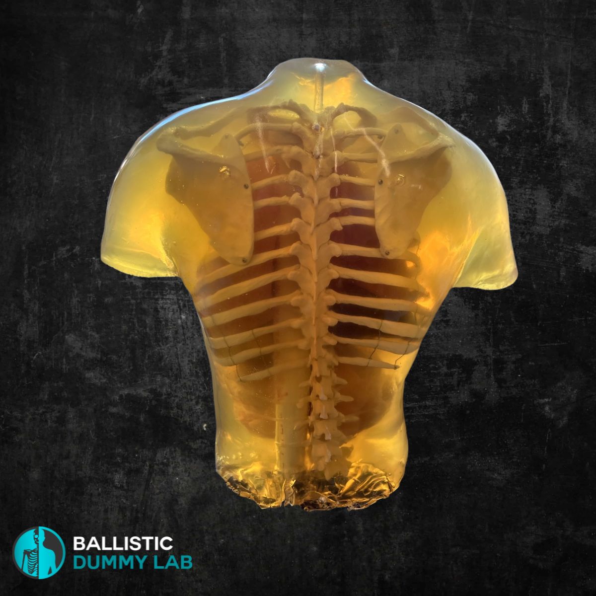 Ballistic Dummy Gel Torso Headless