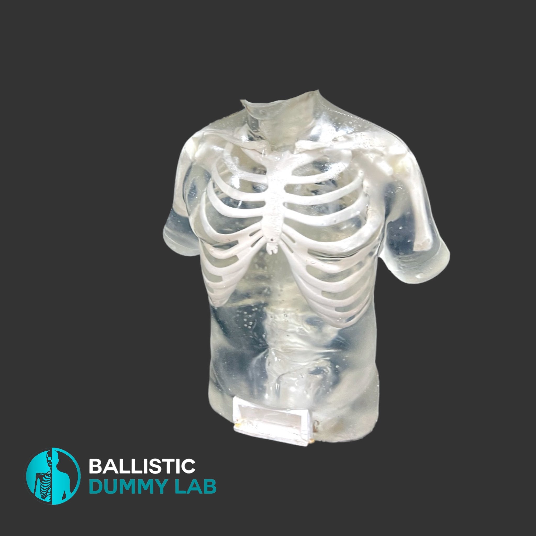 Perma-Gel Ballistic Dummy Deluxe Torso without Head