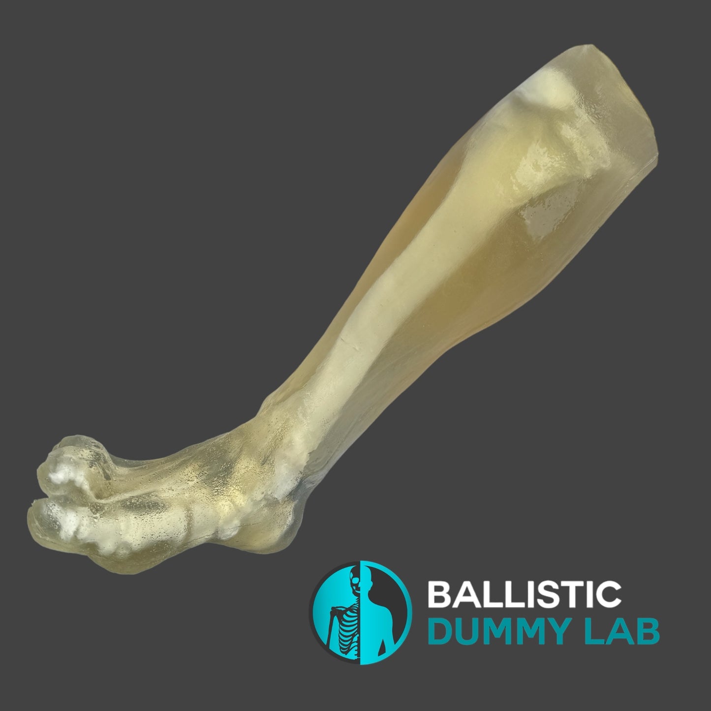 Ballistic Gel half Leg – side view