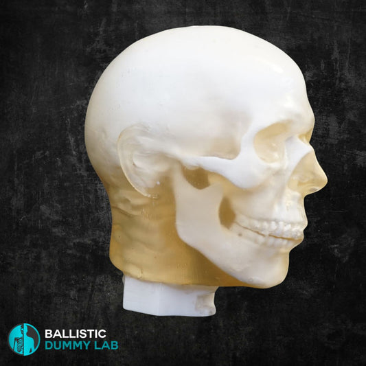 Ballistic Dummy Gel Head – side view