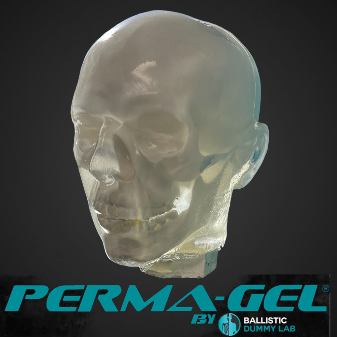 Perma-Gel Ballistic Dummy Deluxe Torso with Head – Ballistic Dummy Lab