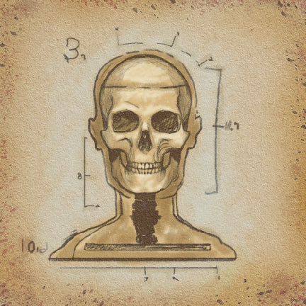 Heads