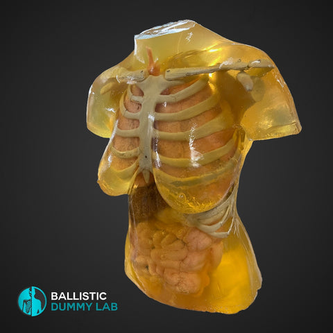 Ballistic Dummy Gel Male Body – Ballistic Dummy Lab
