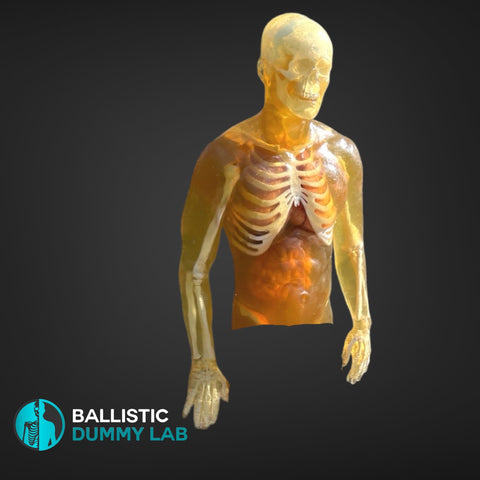 Ballistic Dummy Gel Torso with Head and Arms