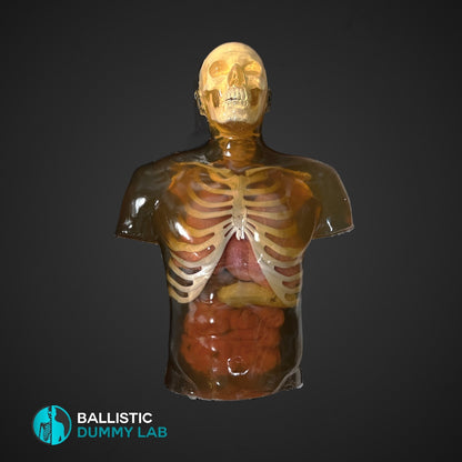 Ballistic Dummy Gel Torso with Head – detail view