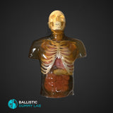 Ballistic Dummy Gel Torso with Head