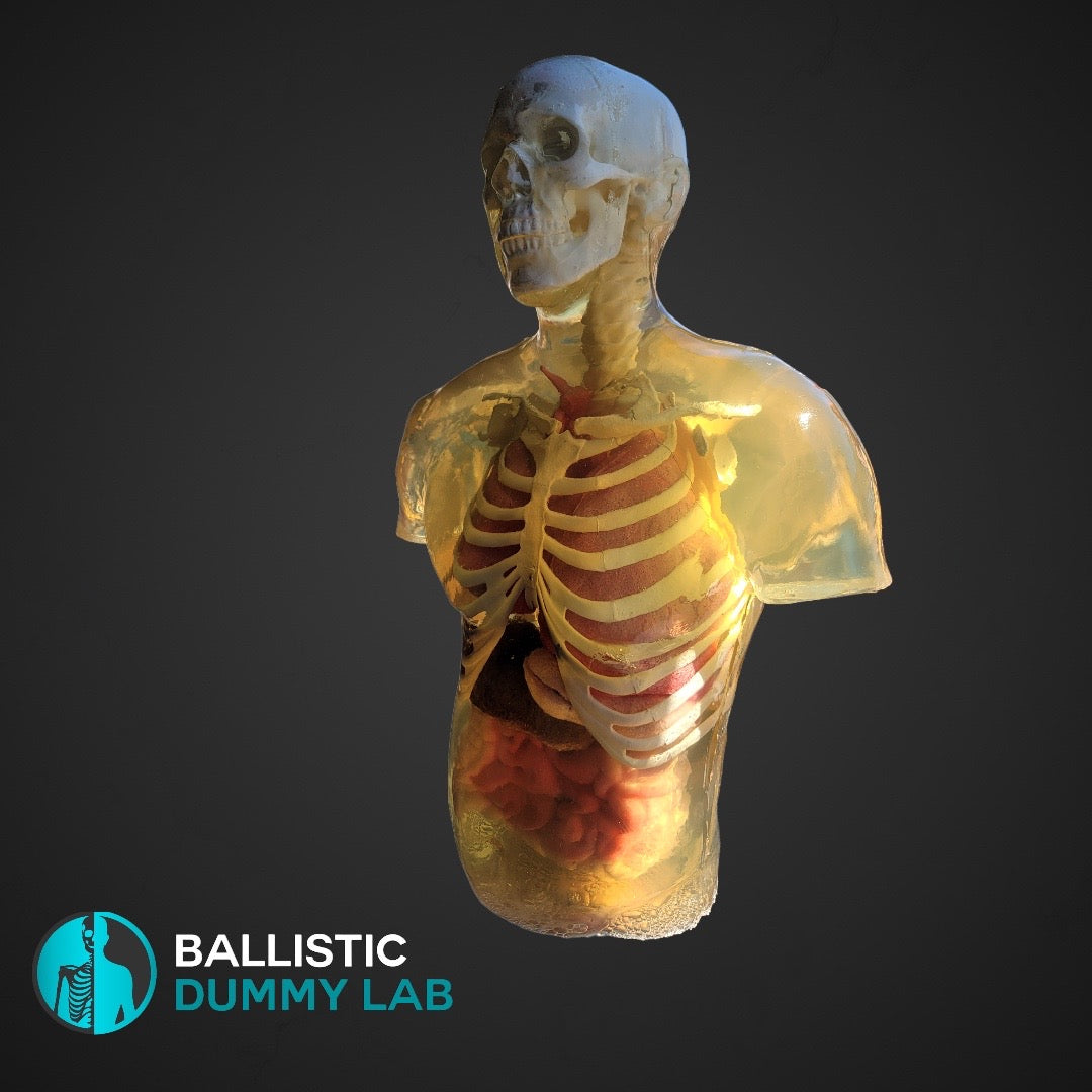 Ballistic Dummy Gel Torso with Head