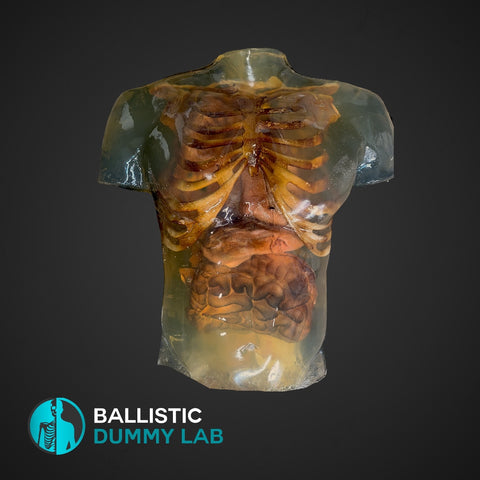 Babayaga on X: Looked how much a ballistic gel dummy with bones