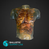 Ballistic Dummy Lab Zombie Torso without head