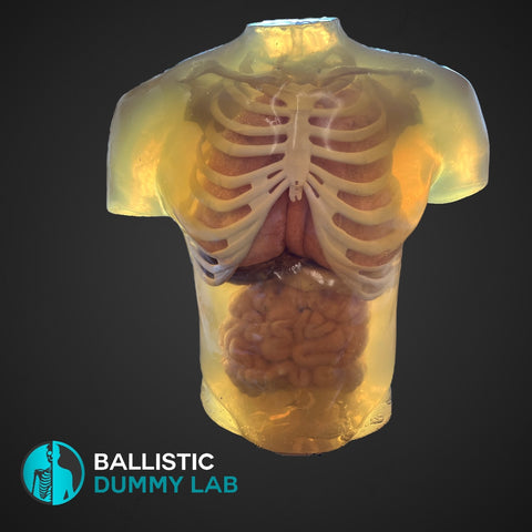 Ballistic Dummy Gel Torso Headless