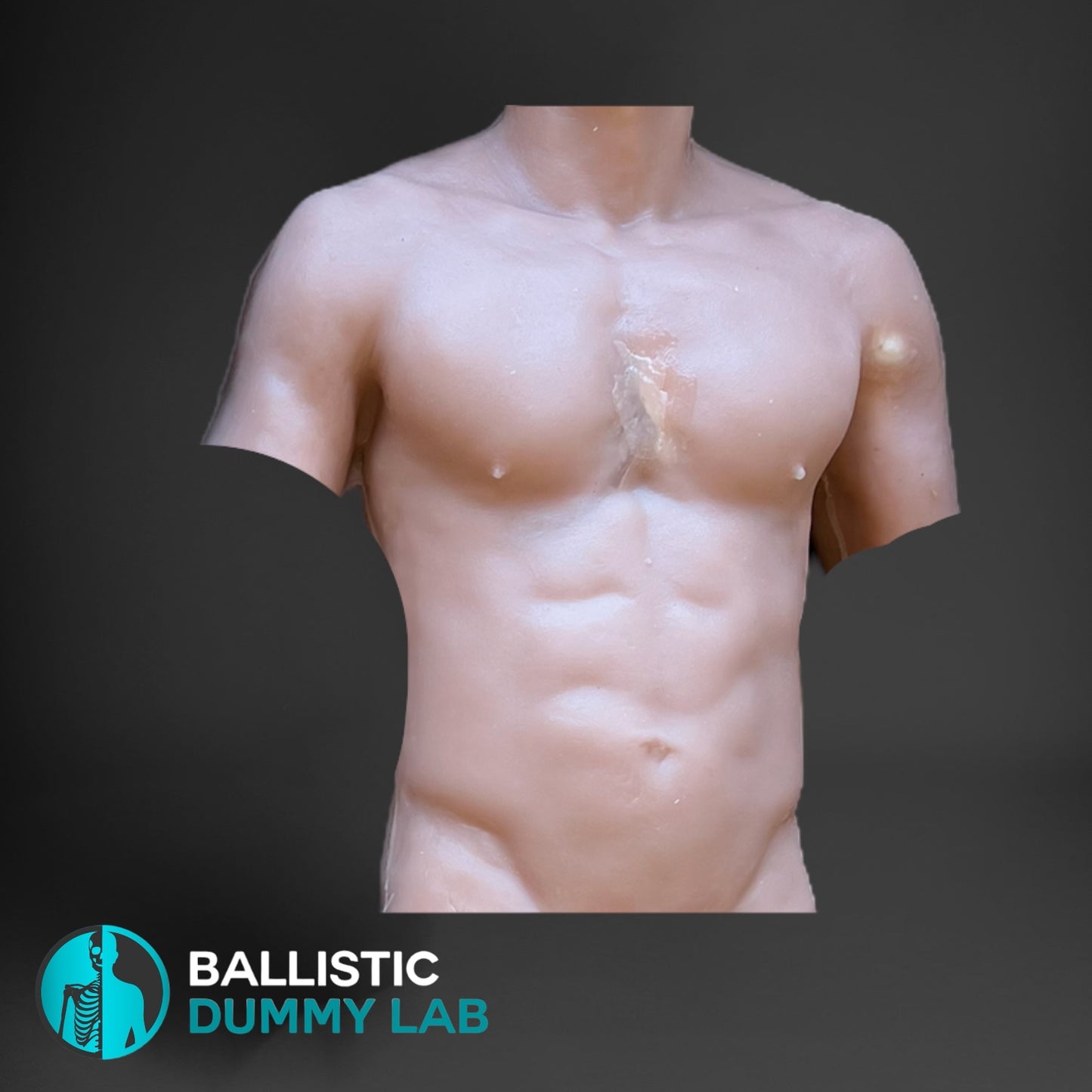 Ballistic Dummy Gel Torso Headless – close-up view
