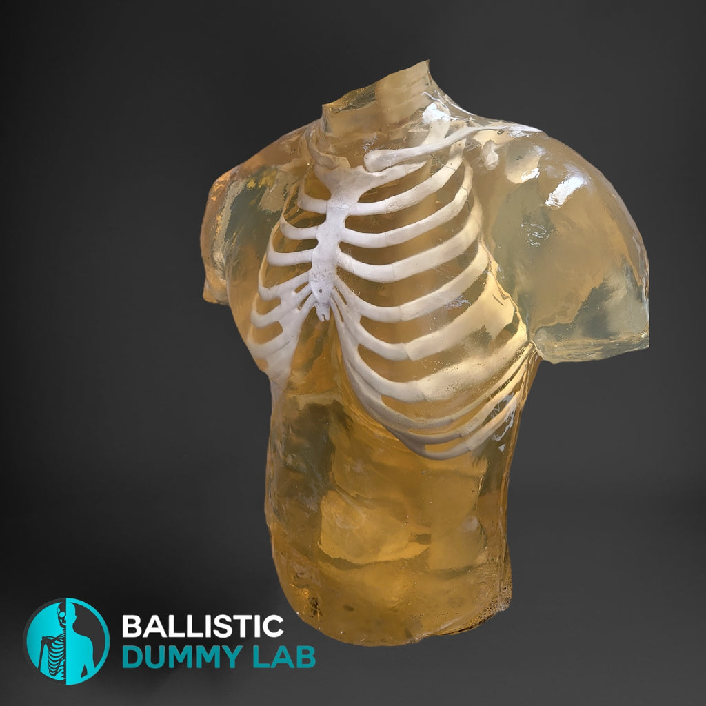 Babayaga on X: Looked how much a ballistic gel dummy with bones