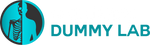 Ballistic Dummy Lab