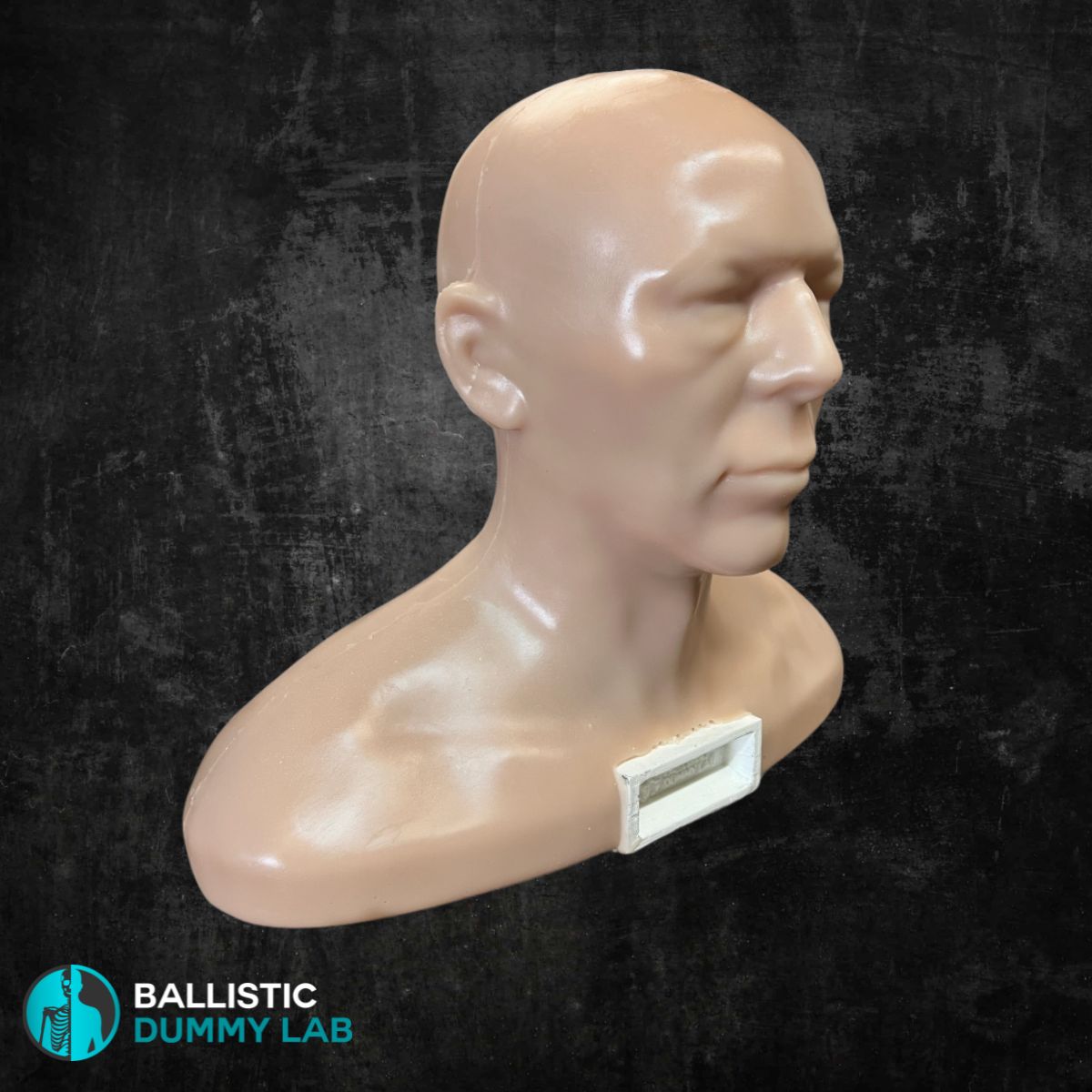 Deluxe Ballistic Dummy Gel Bust – back view