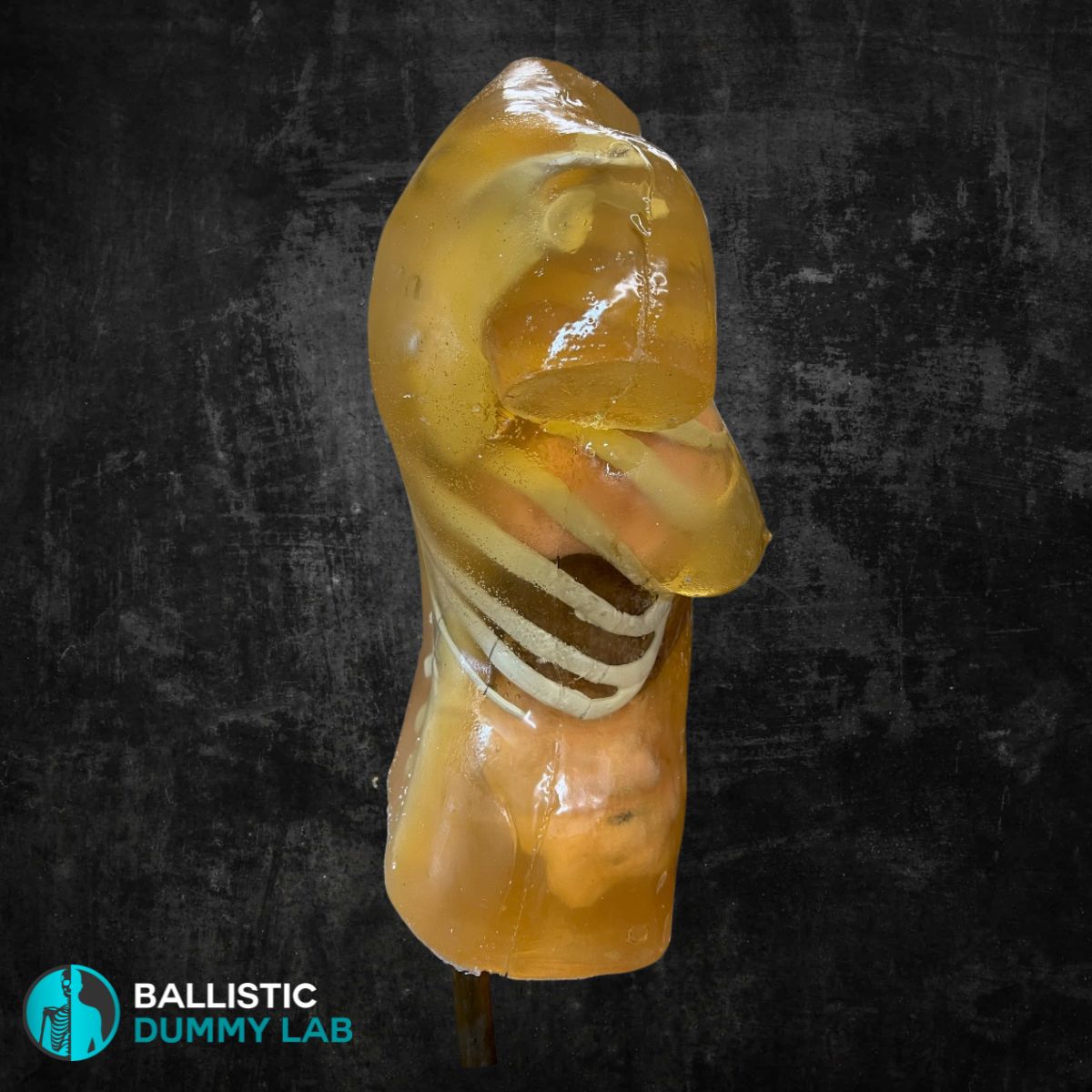 Ballistic Dummy Lab Gel Female Torso Headless – detail view