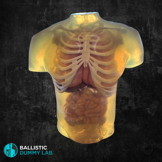 Ballistic Dummy Gel Torso Headless – front view