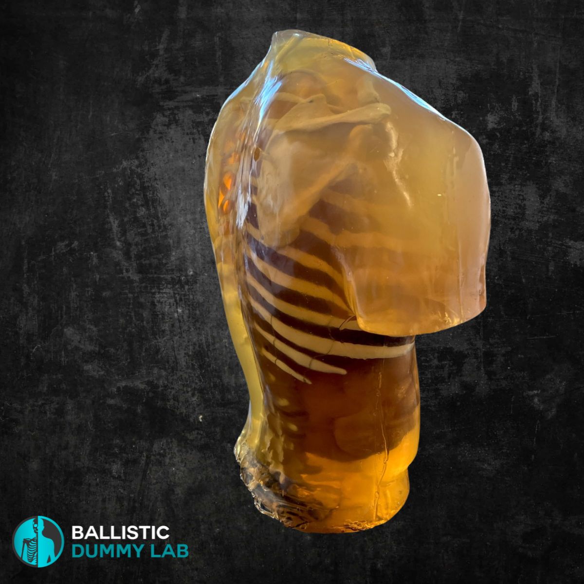 Ballistic Dummy Gel Torso Headless – detail view