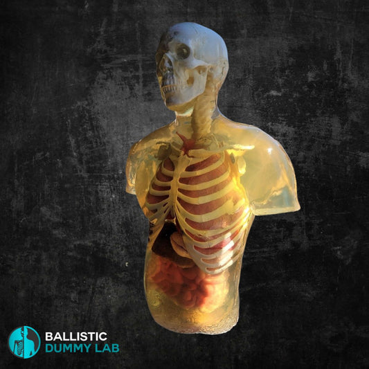 Ballistic Dummy Gel Torso with Head – front view