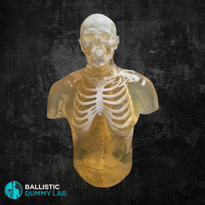 Ballistic Dummy Gel Torso with Head – side view