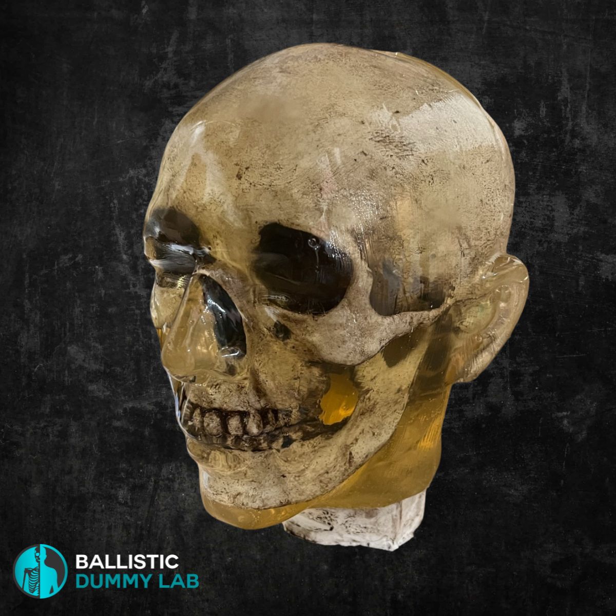 Ballistic Dummy Loaded Zombie Head – front view