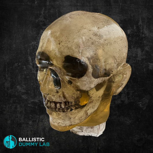 Ballistic Dummy Loaded Zombie Head – front view