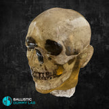 Ballistic Dummy Loaded Zombie Head