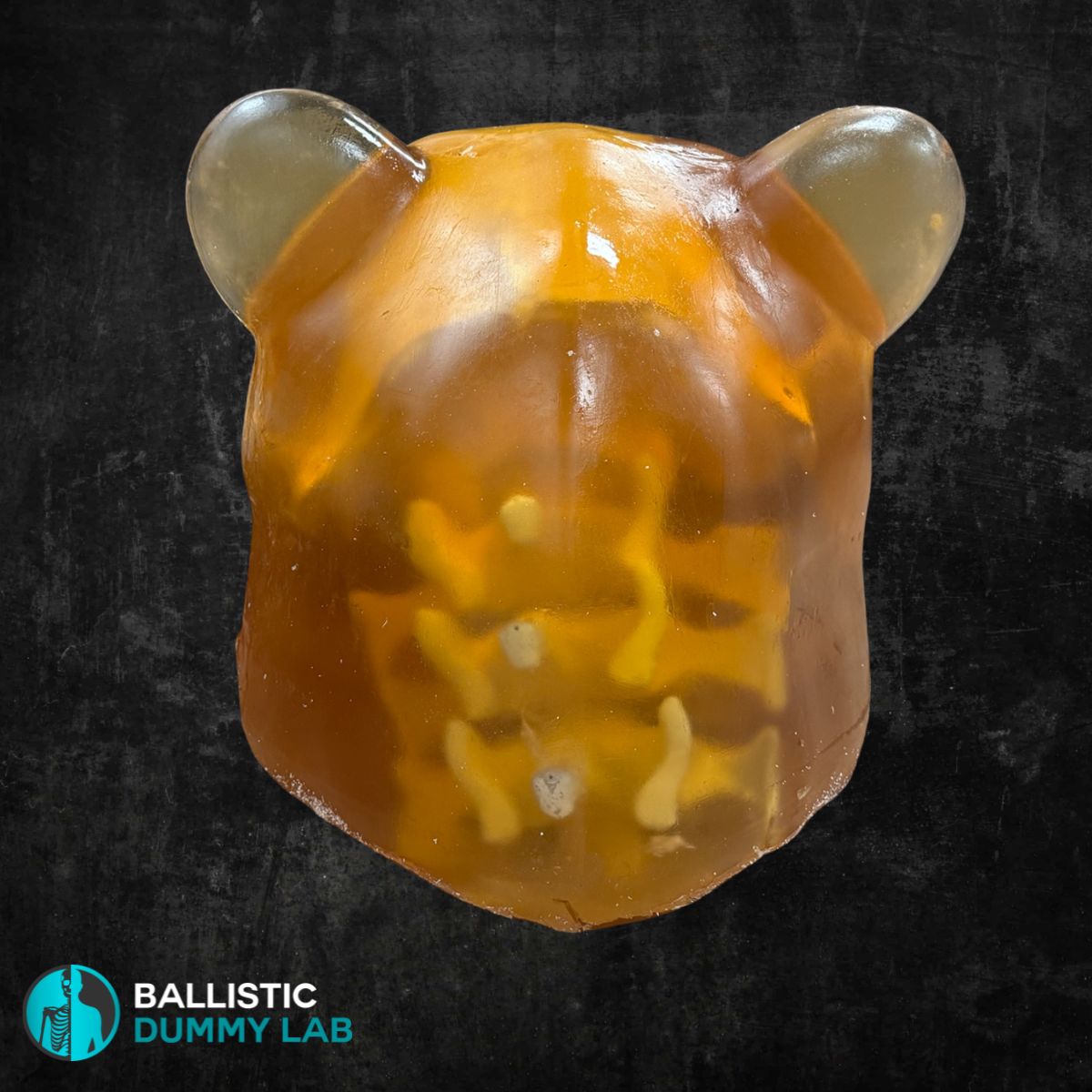 Ballistic Gel Loaded Grizzly Bear Head – side view