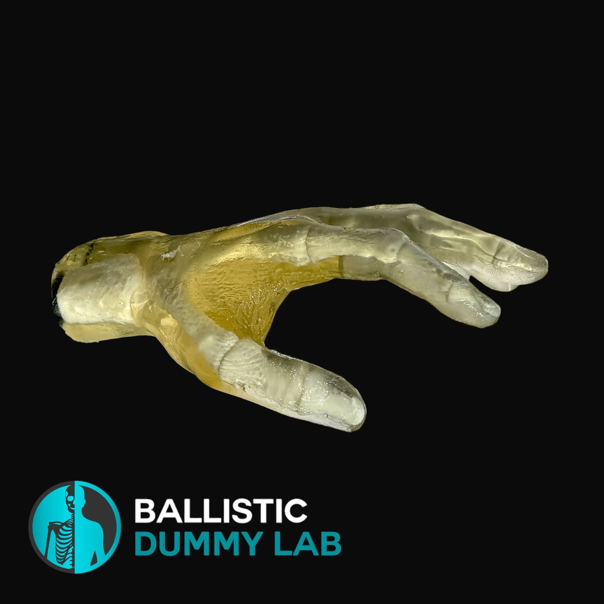 Ballistic Dummy Gel Hands – detail view