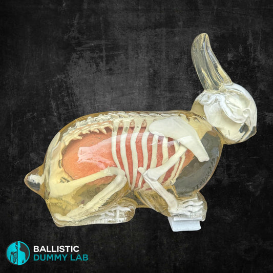 Ballistic Gel Rabbit – front view