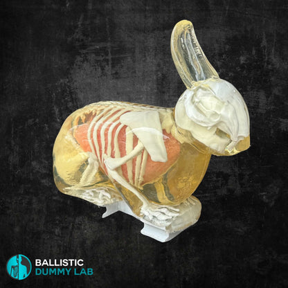 Ballistic Gel Rabbit – side view