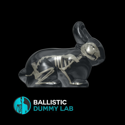 Ballistic Gel Rabbit – angle view