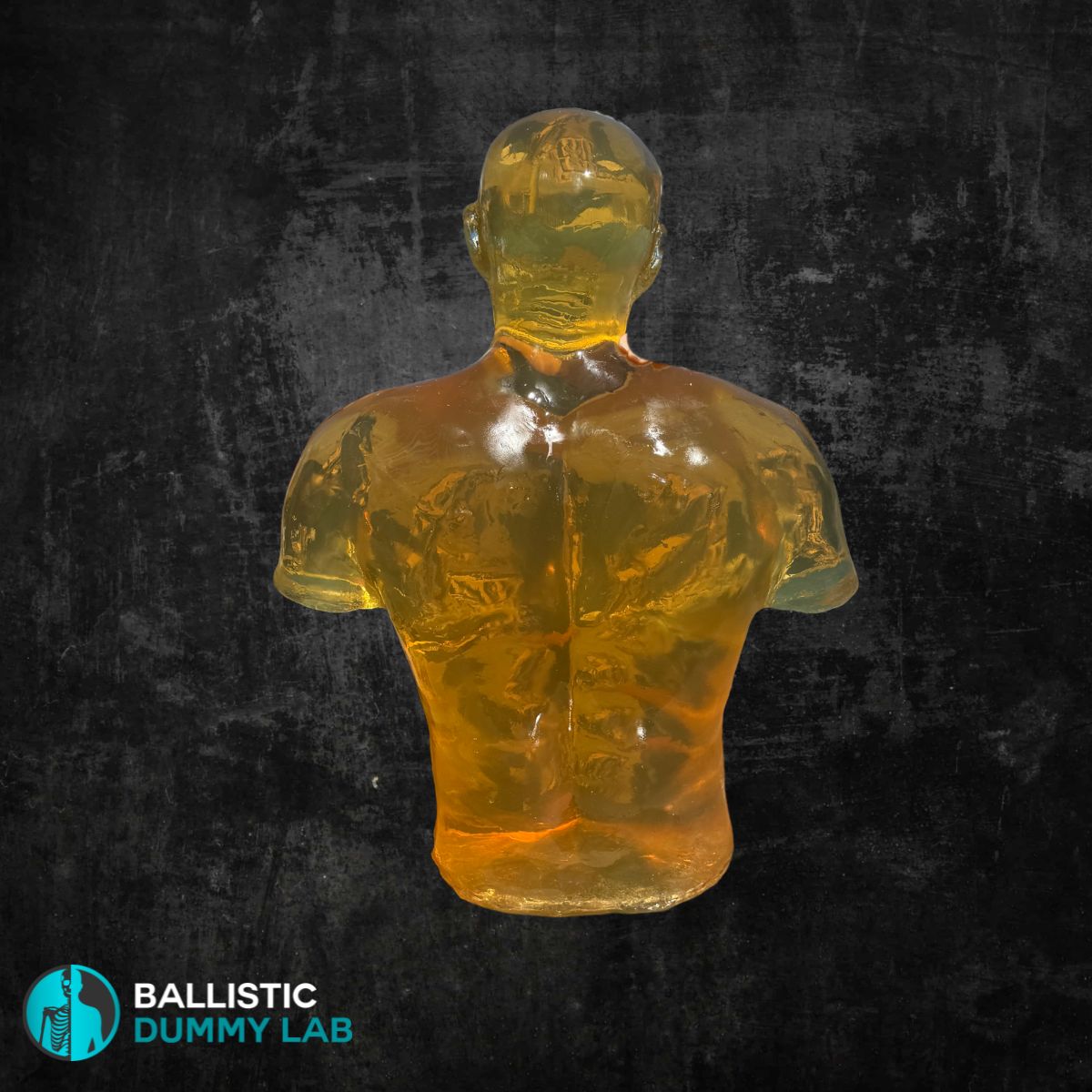 Ballistic Gel Torso With head no internals – detail view