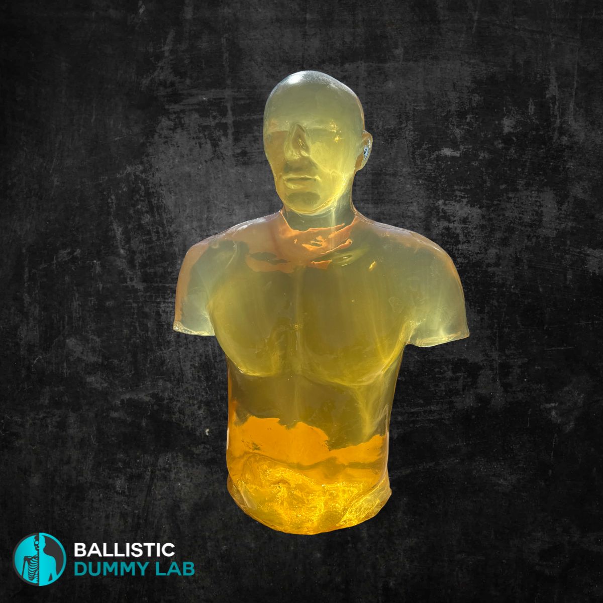 Ballistic Gel Torso With head no internals – front view