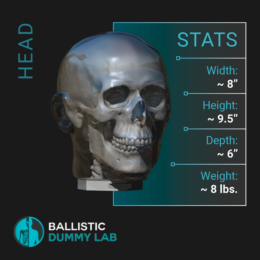 Ballistic Dummy Gel Head – detail view