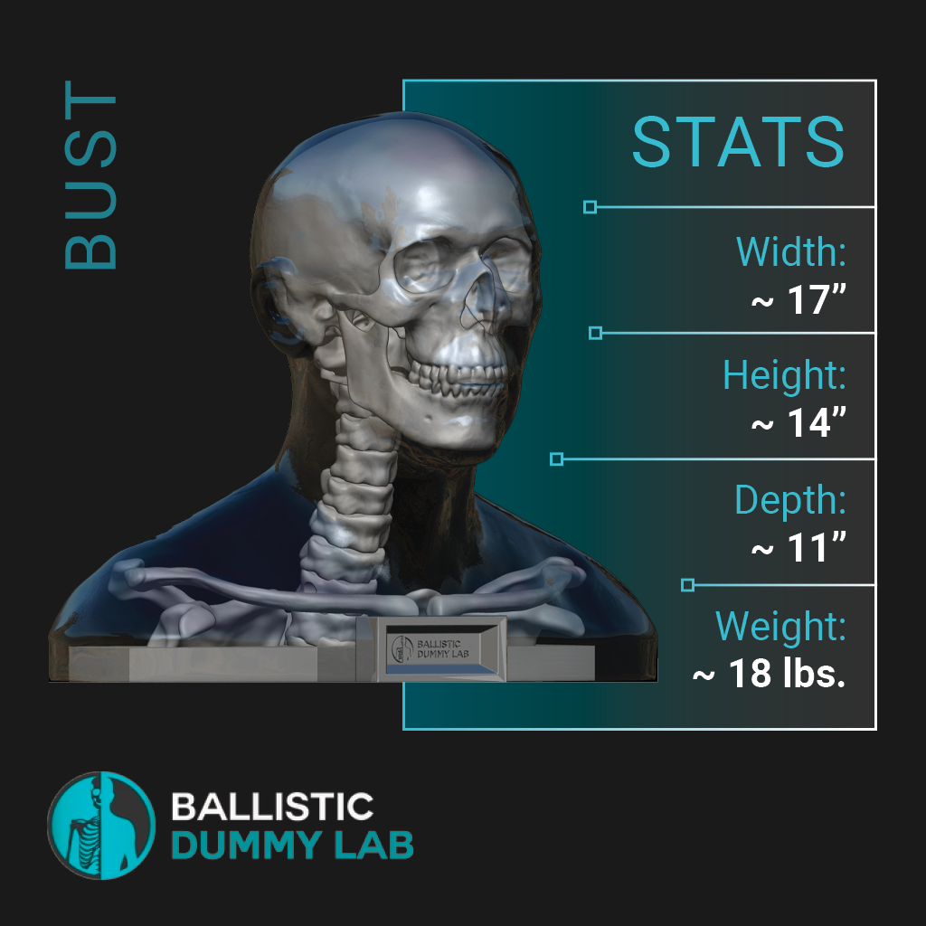 Deluxe Ballistic Dummy Gel Bust – alternate view