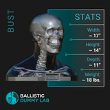 Deluxe Ballistic Dummy Gel Bust