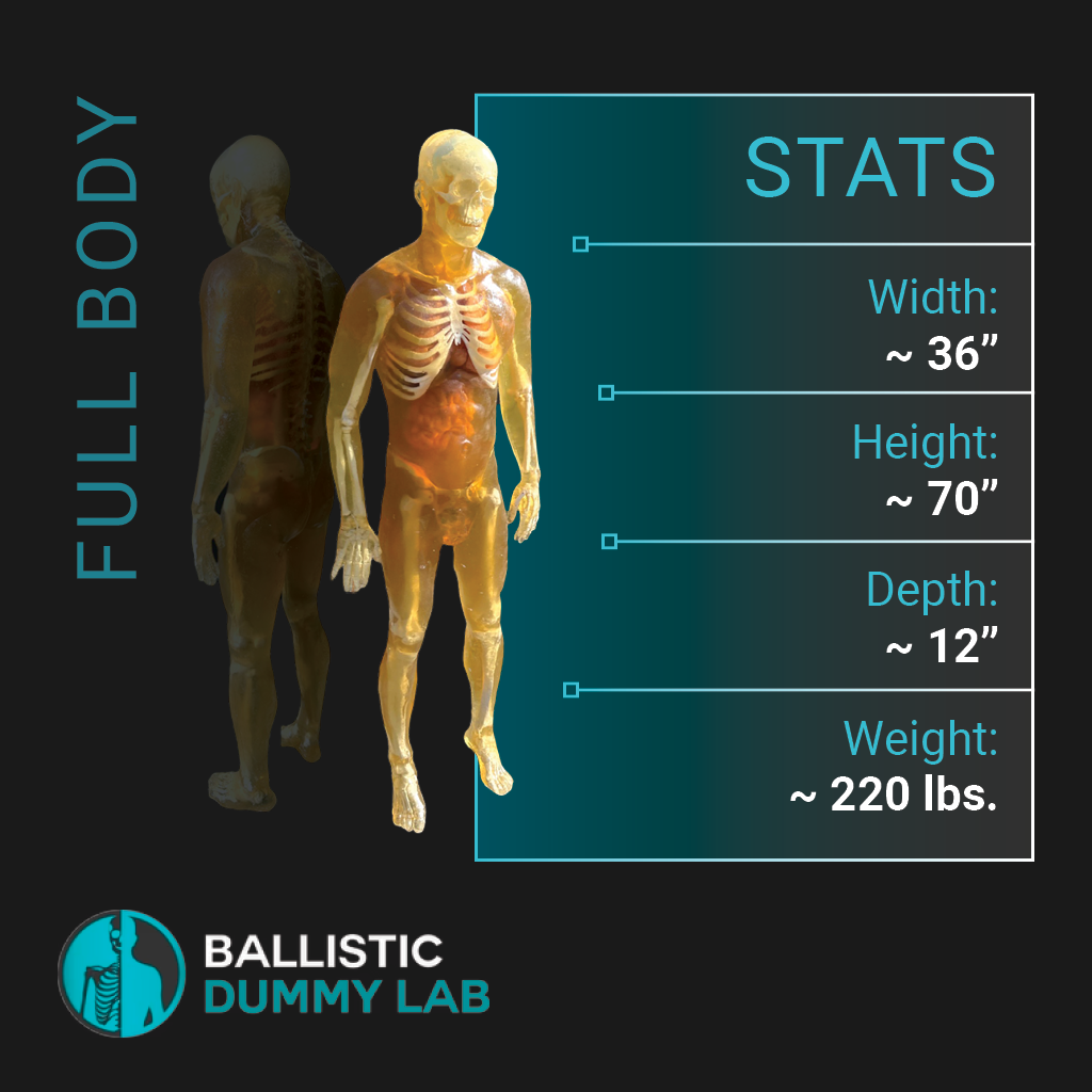 Ballistic Dummy Gel Male Body – detail view