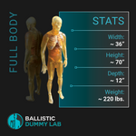 Ballistic Dummy Gel Male Body