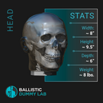 Ballistic Dummy Gel Head