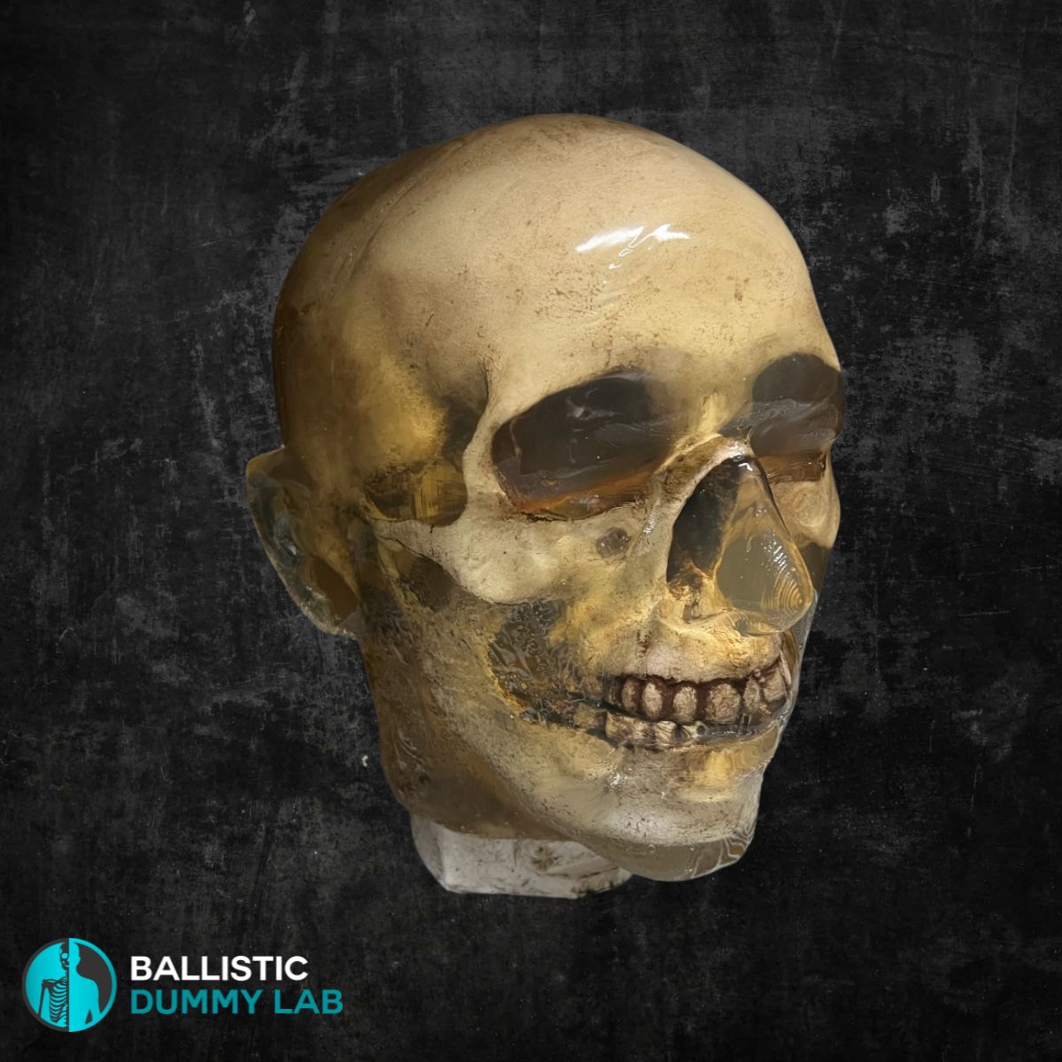 Ballistic Dummy Loaded Zombie Head – side view