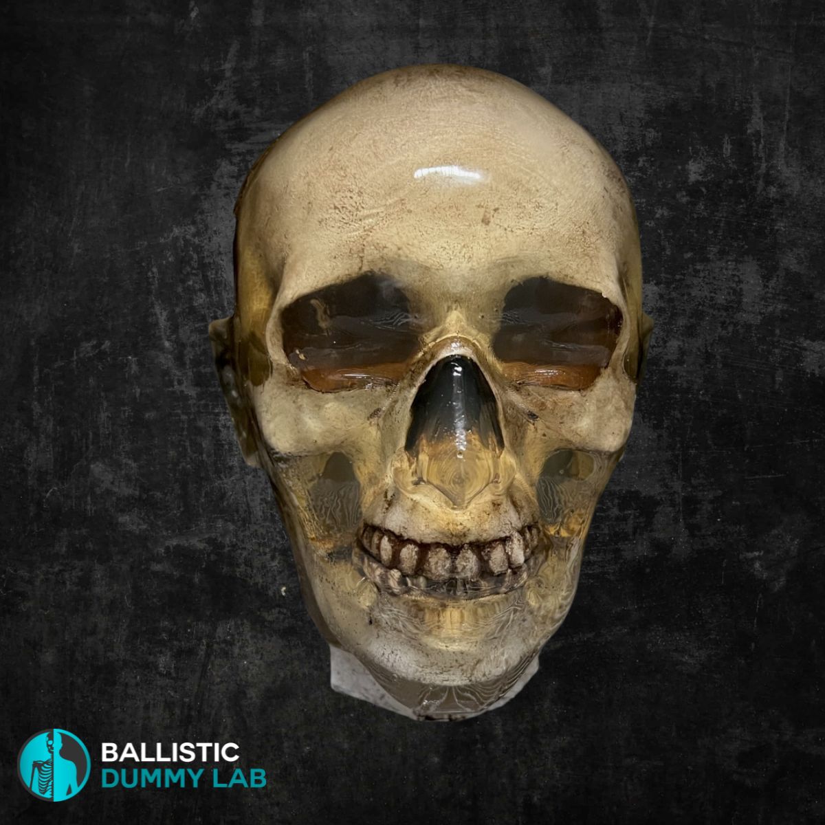 Ballistic Dummy Loaded Zombie Head – detail view