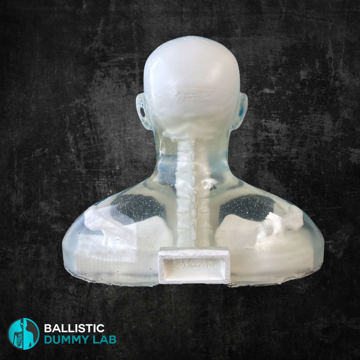 Perma-Gel Ballistic Dummy Loaded Deluxe Bust – side view