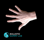 Ballistic Dummy Lab Gel Hand Flesh Colored