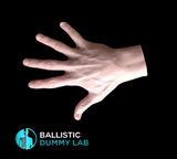 Ballistic Dummy Lab Gel Hand Flesh Colored